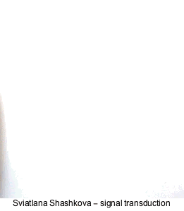 yay